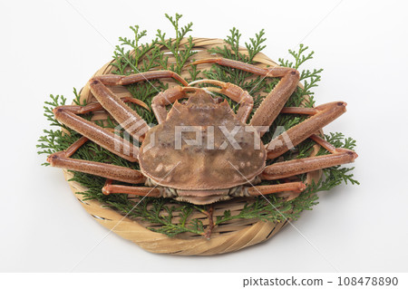 Seiko crab Seiko crab 108478890