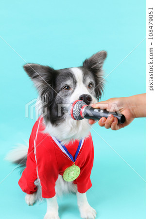 榮獲金牌的邊境牧羊犬接受麥克風採訪 榮獲金牌的邊境牧羊犬接受麥克風採訪 108479051