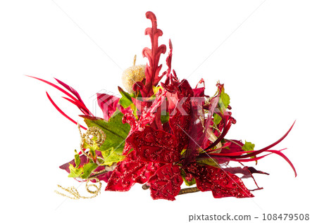 Red Christmas decoration Red Christmas decoration 108479508