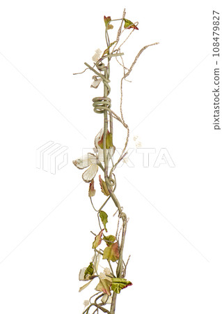 Golden Christmas decoration branches 108479827