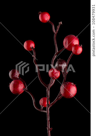 Red Christmas decoration branches 108479931