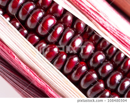 Purple corn Purple corn 108480304