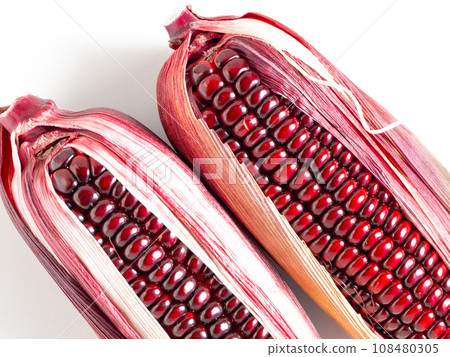 Purple corn Purple corn 108480305