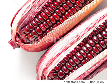 Purple corn Purple corn 108480307