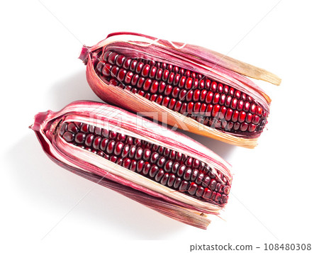 Purple corn Purple corn 108480308