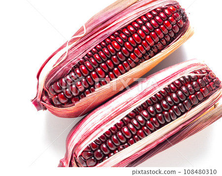 Purple corn Purple corn 108480310
