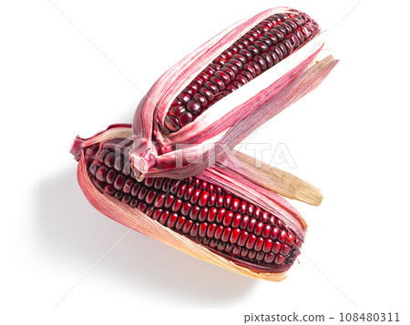 Purple corn Purple corn 108480311