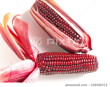 Purple corn Purple corn 108480313