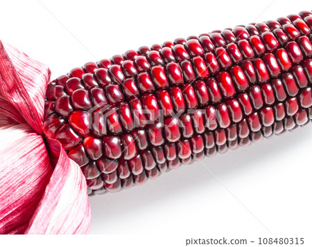 Purple corn Purple corn 108480315