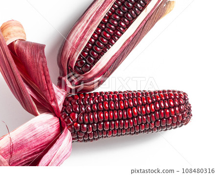 Purple corn Purple corn 108480316