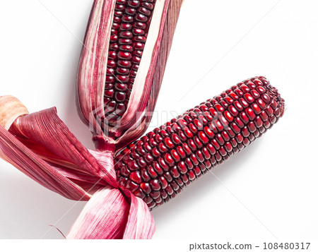 Purple corn Purple corn 108480317