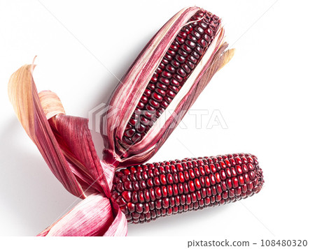 Purple corn Purple corn 108480320
