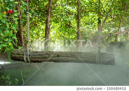 Green lush foliage moss and fern in reshness plant garde with a misty climate 108480410