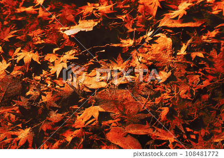 An image of fallen leaves sinking to the bottom of a highly transparent lake, colored and retouched in a reddish-brown tone. 108481772