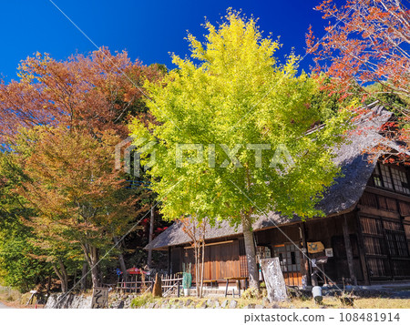 （山梨縣）根場，秋天西湖湖的療癒之鄉 108481914