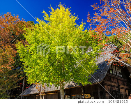 (Yamanashi Prefecture) Nemba, the healing village of Lake Saiko in autumn (Yamanashi Prefecture) Nemba, the healing village of Lake Saiko in autumn 108481915