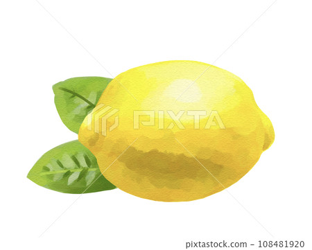 Lemon illustration handwritten oil painting style Lemon illustration handwritten oil painting style 108481920