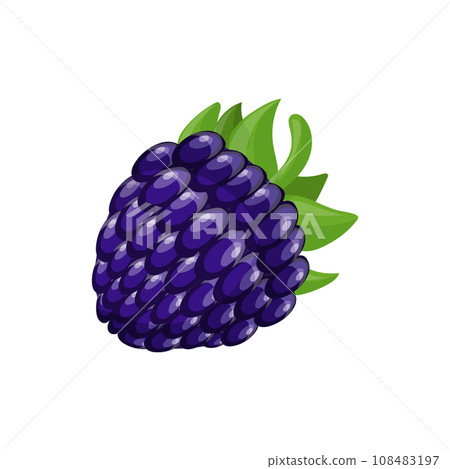 Purple black blackberry with green leaves in cartoon style, isolated on white background. 108483197