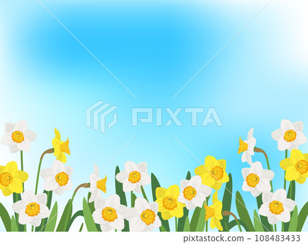 藍天和水仙花背景 108483433