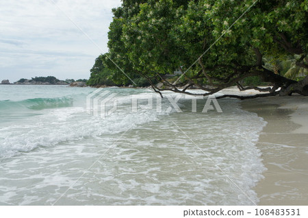 Beach in Koh Samet 108483531