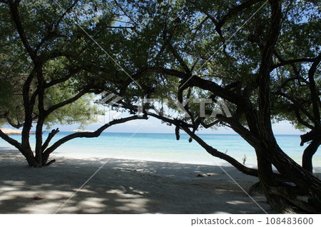 Shade on the beach of Koh Samet Shade on the beach of Koh Samet 108483600