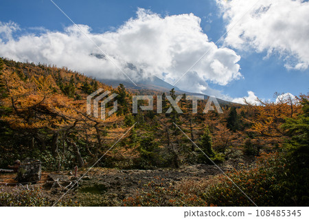 Autumn leaves seen from the back garden of Mt. Fuji (Yamanashi Prefecture) Autumn leaves seen from the back garden of Mt. Fuji (Yamanashi Prefecture) 108485345