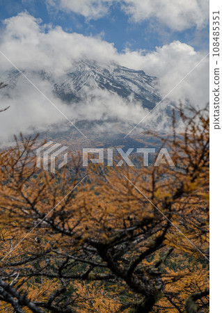 富士山後花園的金色秋葉（山梨縣） 108485351
