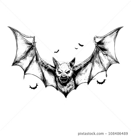 Halloween scary bat sketch close-up 108486489