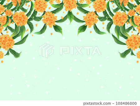 桂花框架背景 108486800