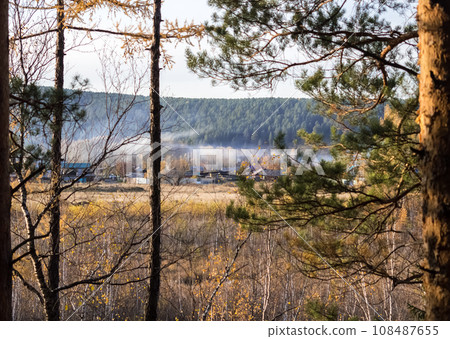 Autumn landscape. View through the branches of an evergreen pine to a village and a marshy area with birch trees and mountains covered with forest in the fog. 108487655