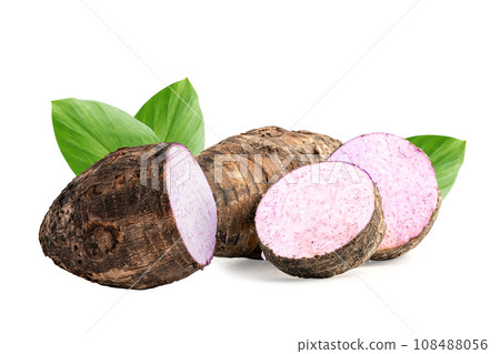 Taro root and slice with leaf isolated on white background. 108488056