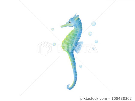 Seahorse hand drawn colored pencil drawing 108488362
