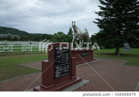 Scenery with Ogricap statue_Niikappu Scenery with Ogricap statue_Niikappu 108488879