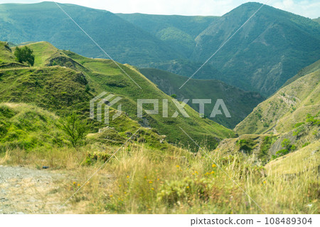 Caucasian mountain. Dagestan. Trees, rocks, mountains, view of the green mountains. Beautiful summer landscape. Caucasian mountain. Dagestan. Trees, rocks, mountains, view of the green mountains. Beautiful summer landscape. 108489304