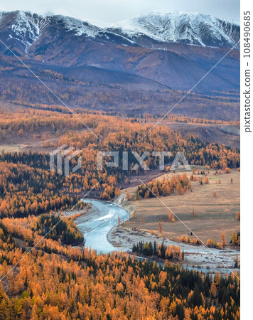 Wonderful alpine landscape with mountain river Argut in valley with forest in autumn colors on background of foggy mountains silhouettes under low clouds. Beautiful mountain valley in autumn. 108490685