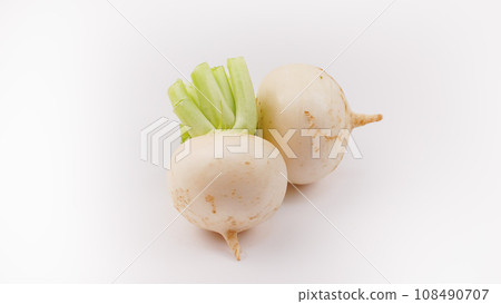 蕪菁 108490707