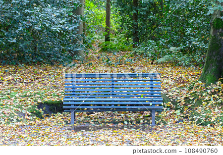 Wooden bench in a park, wet autumn leaves on ground Wooden bench in a park, wet autumn leaves on ground 108490760