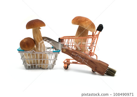 Penny Bun (Boletus edulis) isolated on white Penny Bun (Boletus edulis) isolated on white 108490971