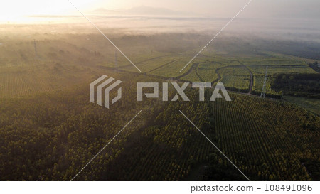 Aerial view of High voltage grid tower with wire cable at tree forest with fog in early morning. Colorful landscape with woods in fog, sunbeams, sky, forest in winter morning. 108491096