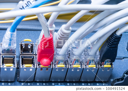 detail of ethernet cables connected to switch ports 108491524