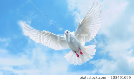 一隻白鴿 108491699
