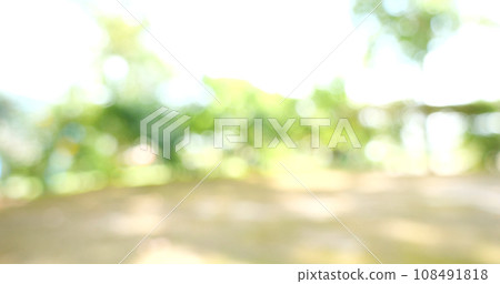 Blur background green park garden nature bright sunny forest. Blurry outdoor park in spring time glowing shinny day template with sunlight bokeh. Abstract blurred background banner copy space. Blur background green park garden nature bright sunny forest. Blurry outdoor park in spring time glowing shinny day template with sunlight bokeh. Abstract blurred background banner copy space. 108491818