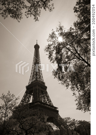 Eiffel Tower, Paris, France 108492054