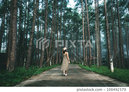 Traveler asian woman travel in pine tree garden in Doi Bo Luang Forest Park at Chiang Mai Thailand 108492379