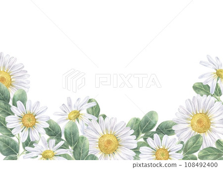 Daisy flower Banner. Watercolor botanical illustration of white chamomile. Hand drawn bouquet on isolated background. Drawing of floral frame border for cards and invitations 108492400