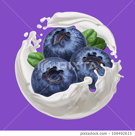 Blueberry with round milk splash on color background 108492615