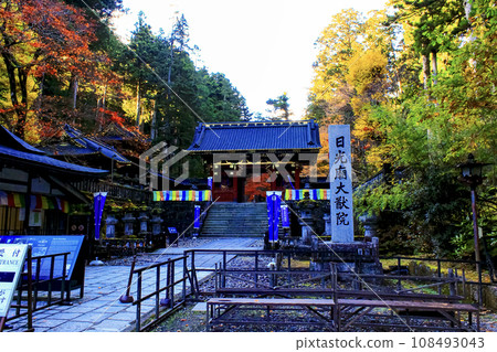 【栃木】秋天的日光山輪王寺，黃昏的大雄院仁王門 108493043