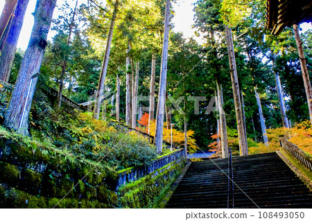 [栃木] 秋天的日光山輪王寺大雄院，從二天門看到的夜叉門和石階 108493050