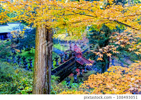 [Tochigi] Autumn Nikkosan Rinnoji Taiyu-in, stone lanterns overlooking between the trees 108493051
