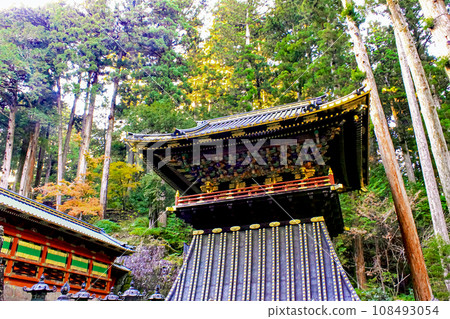 [Tochigi] Nikkosan Rinnoji Taiyu-in Temple in autumn, bell tower in front of Yashamon Gate at dusk 108493054